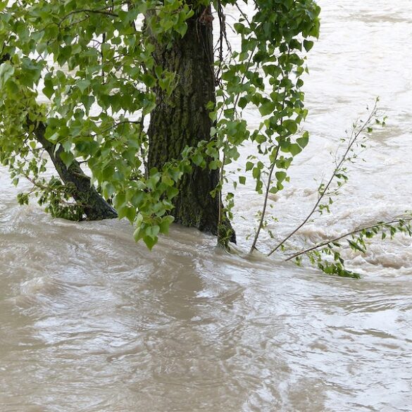 Heavy Rain and Floods Wreak Havoc in North-west India