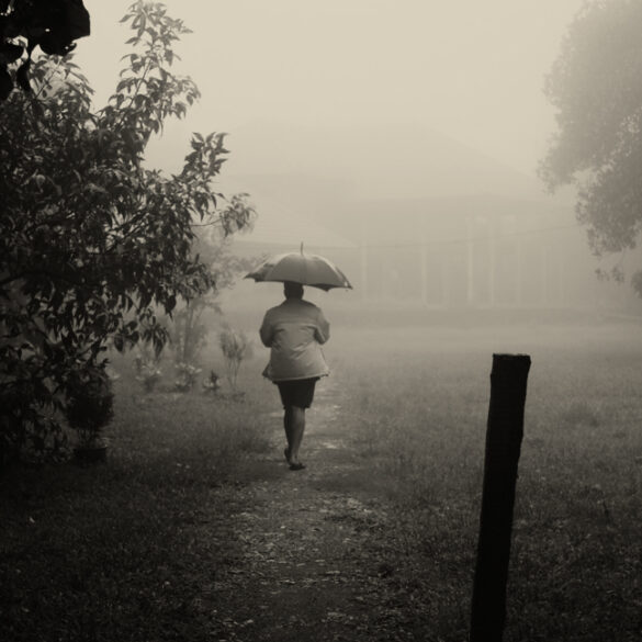 Monsoon Season In India