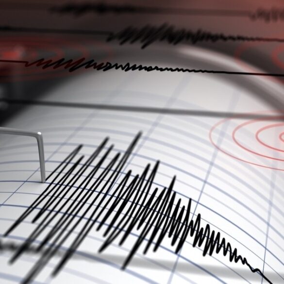 seismic monitoring in predicting earthquakes