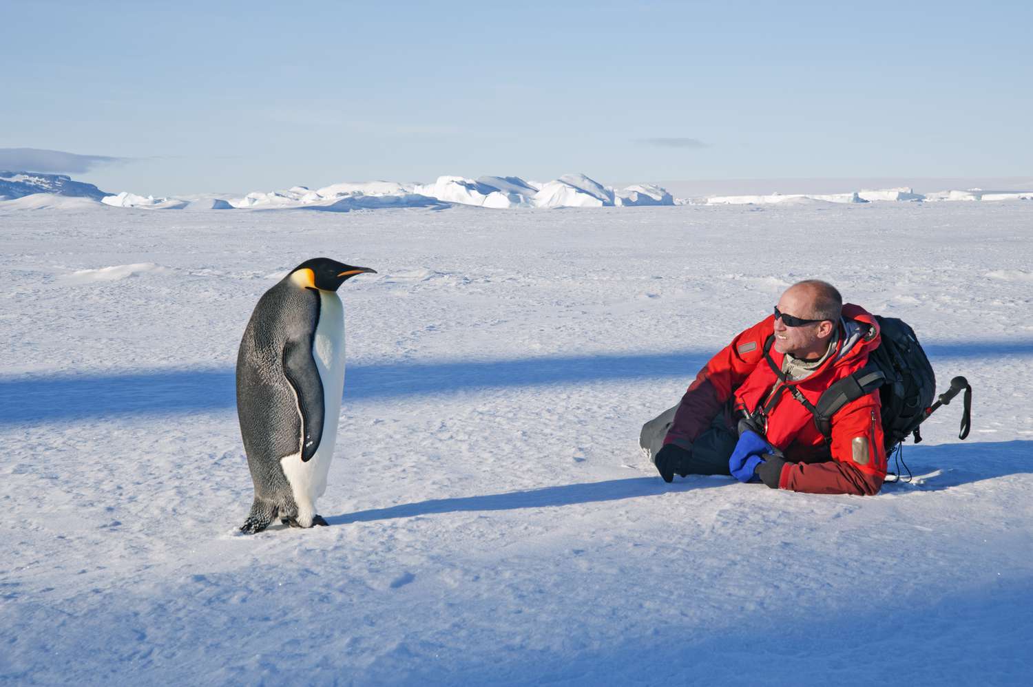 Sustainable Practices In Traveling To Antarctic