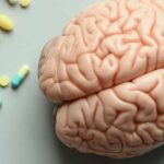 The Best Nootropic Stack for Focus: Safe & Effective for 2026