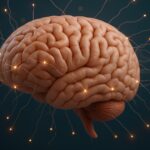 The Silver Selection: Top Cognitive Performance Tools for 2026